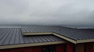 Best Green or Eco-Friendly Roofing Solutions  in USA